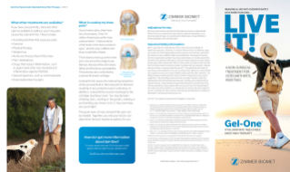 pdf preview thumbnail